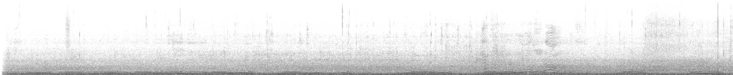 カワラバト（ドバト、家畜型） - ML644515488