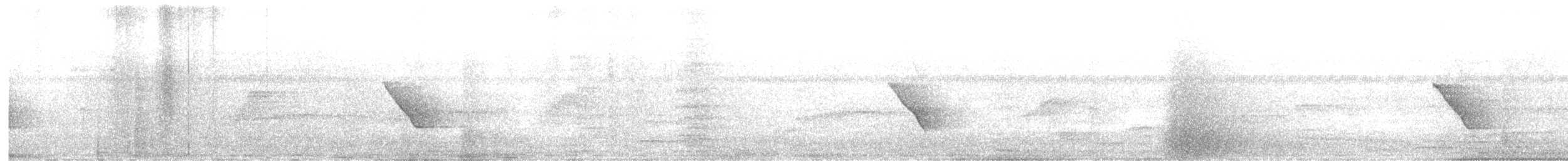 Common Tailorbird - ML644515864