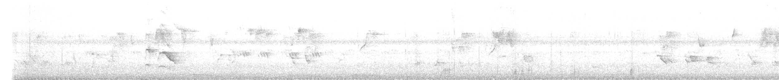 shikrahauk - ML644515899