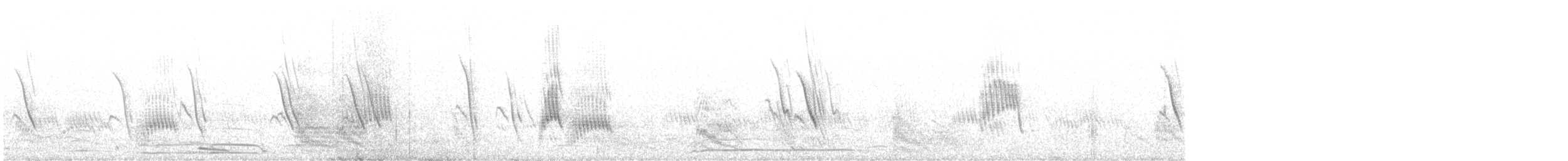 キバシガラス - ML644516030