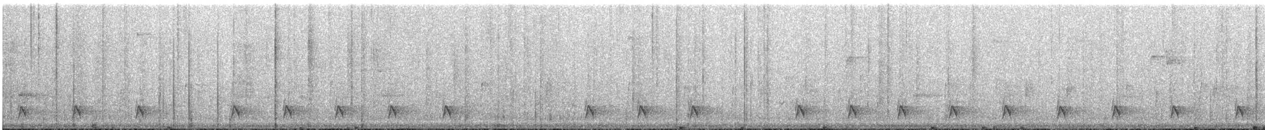 Blackish Tapaculo - ML644516214