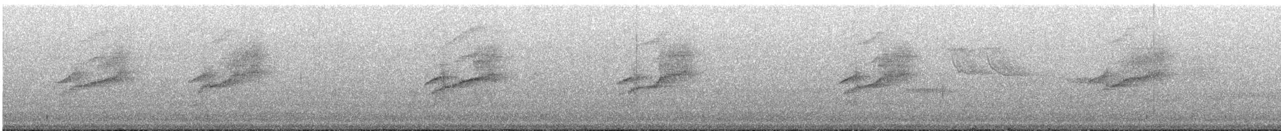 Tyranneau à sourcils blancs - ML644516264