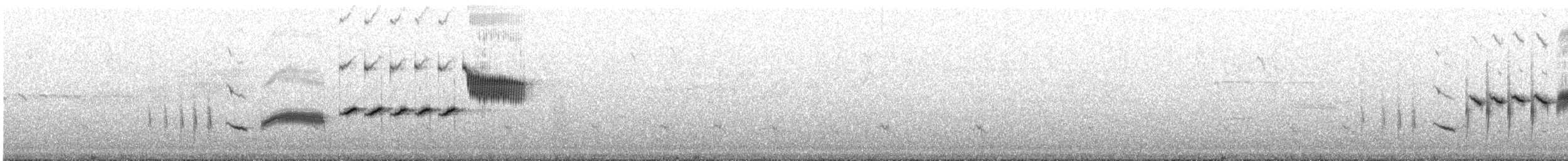 Grass Wren (Paramo) - ML644516521