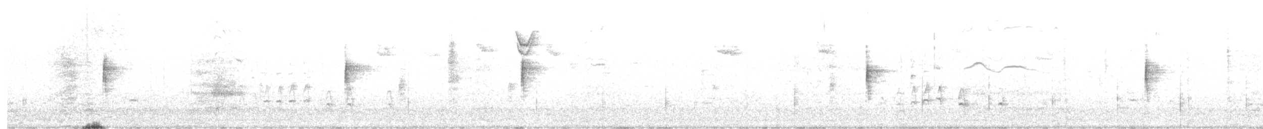 Yellow-rumped Warbler - ML644516693