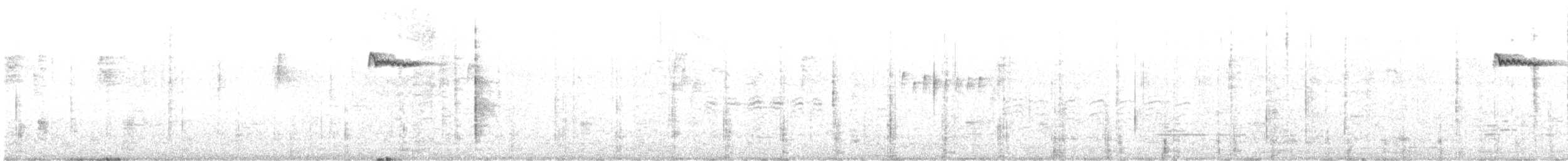 Brown Creeper - ML644516798