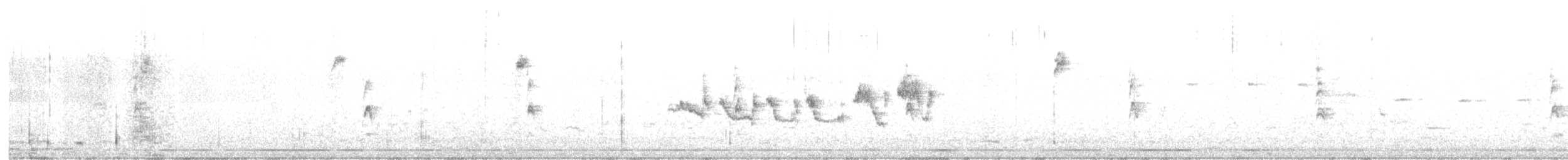 White-crowned Sparrow - ML644516878