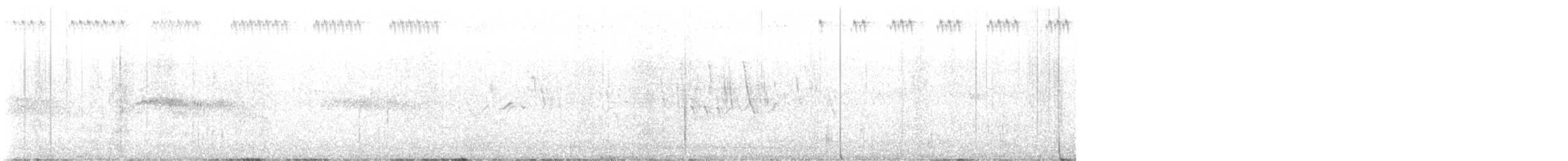 Forbes-Watson's Swift - ML644516910