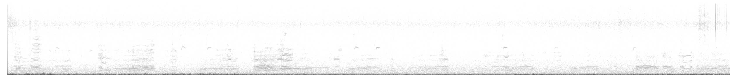 Ánsar Común - ML644517062