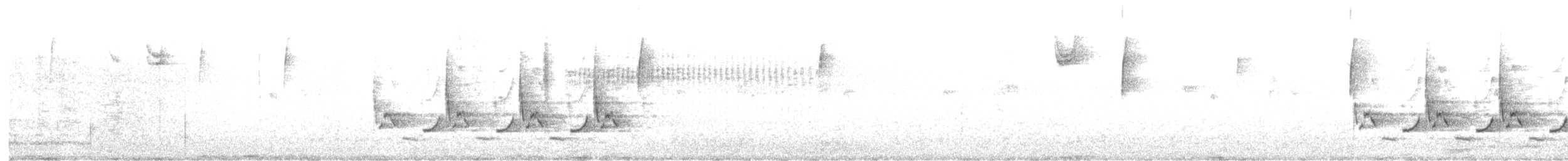 Carolina Wren - ML644517224