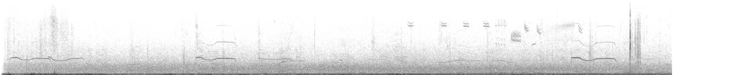 Black-bellied Plover - ML644517290