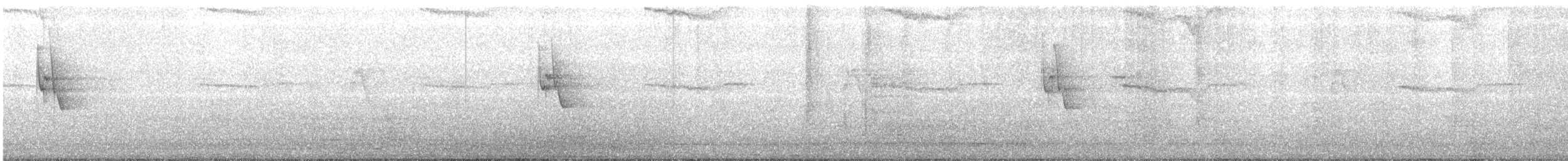 budníček zelený - ML644518176