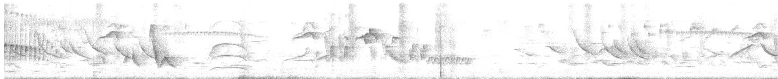 Stripe-crowned Spinetail - ML644518451