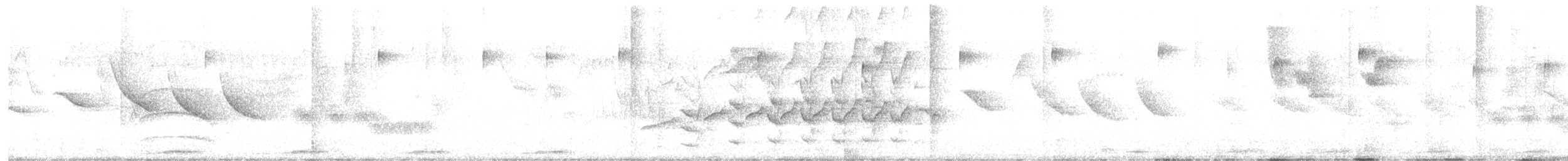 Scimitar-billed Woodcreeper - ML644519012