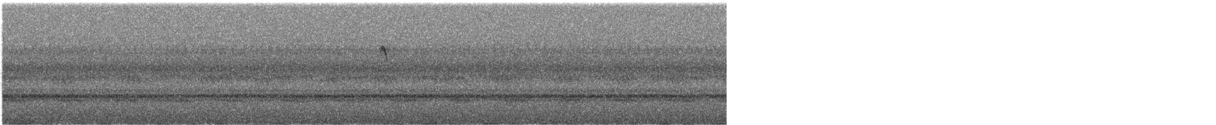 Cape May Warbler - ML644519762