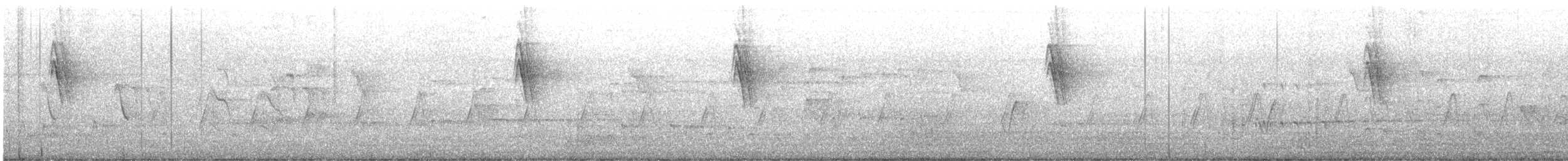 Indian Robin - ML644519836