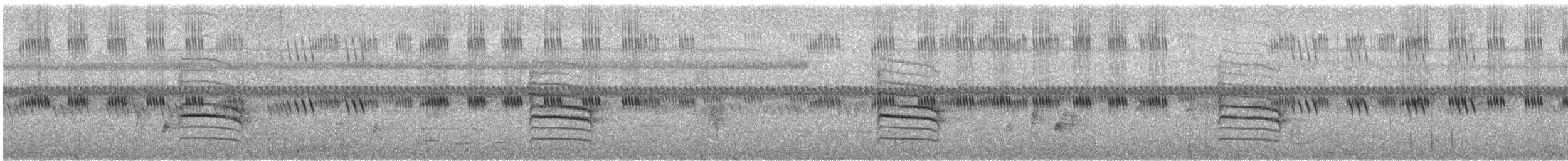 Yellow-bellied Prinia (Chinese) - ML644520286