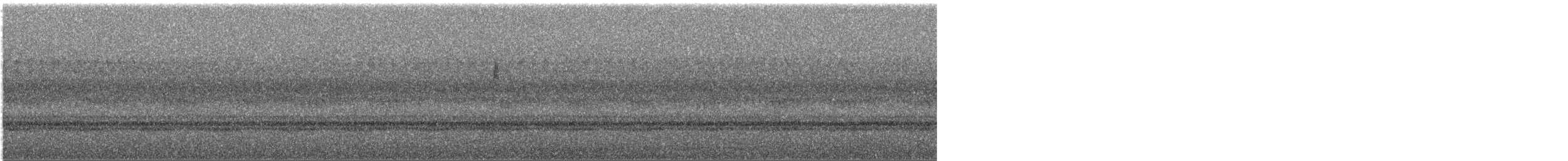 new world warbler sp. - ML644520304