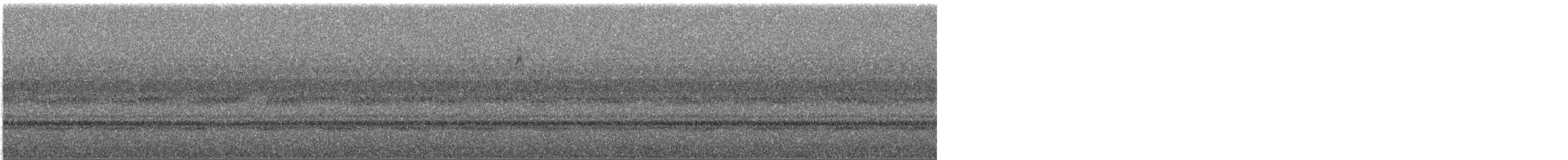 new world warbler sp. - ML644520408