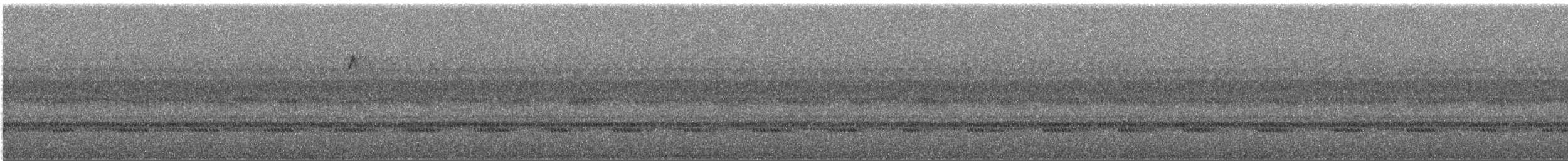 Ovenbird - ML644520468