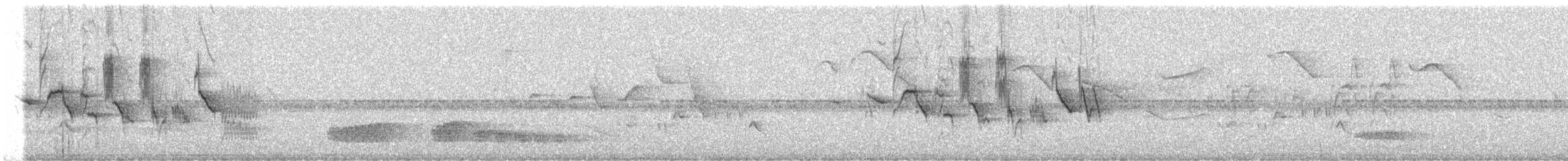 フタスジヒメウソ - ML644520789