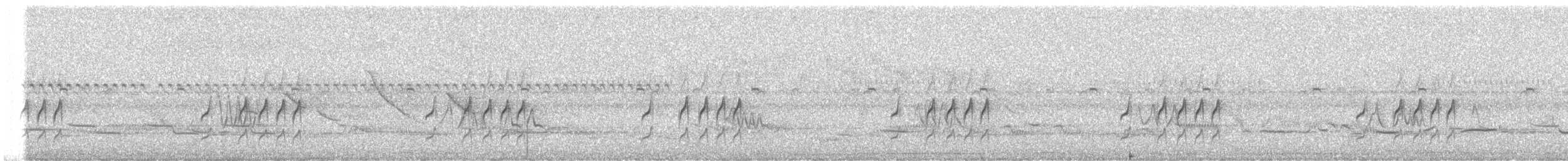 Spix Dikenkuyruğu - ML644520796