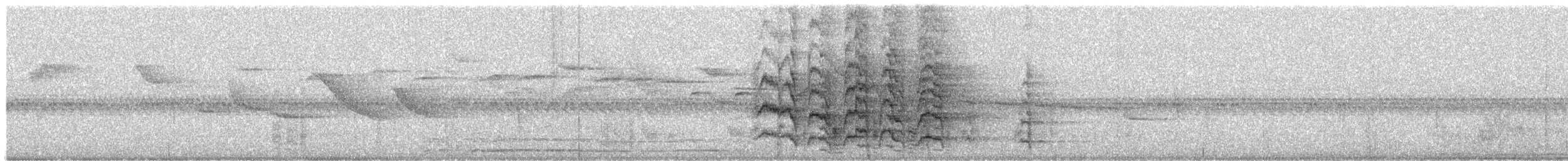 メジロメキシコインコ - ML644520824