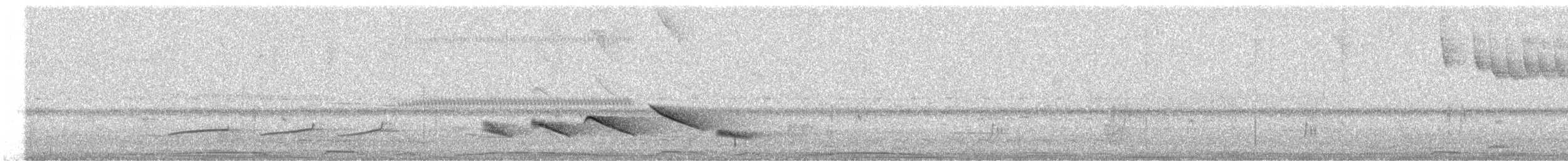 オリーブイカル - ML644520831