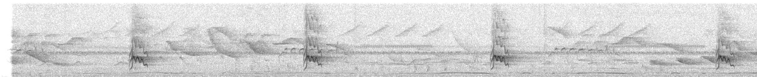 Boat-billed Flycatcher - ML644520856