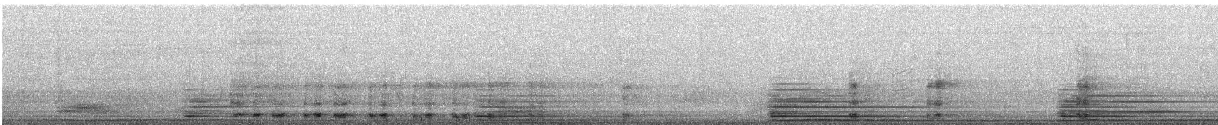 Ring-necked Pheasant - ML644521170