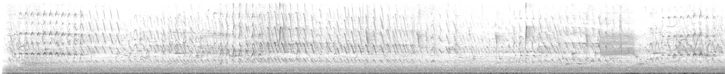 Black-bellied Whistling-Duck - ML644521759