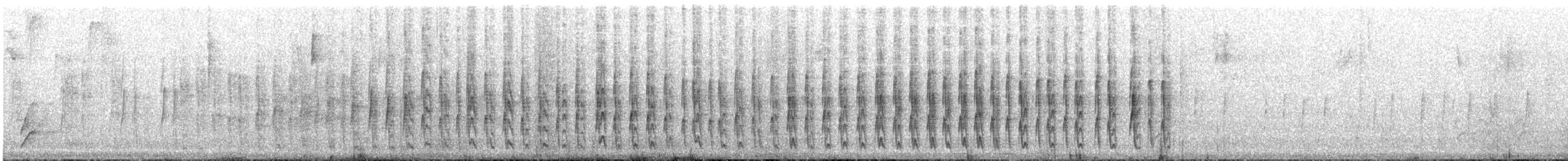 hvitstrupetyrannulett - ML644521856