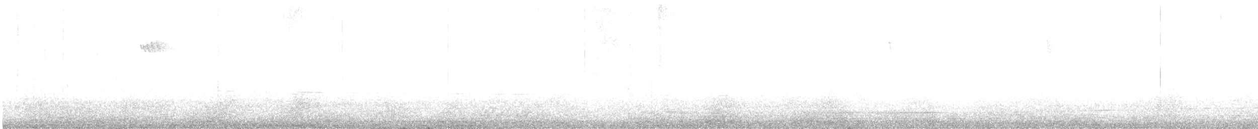 ショウジョウコウカンチョウ - ML644522295