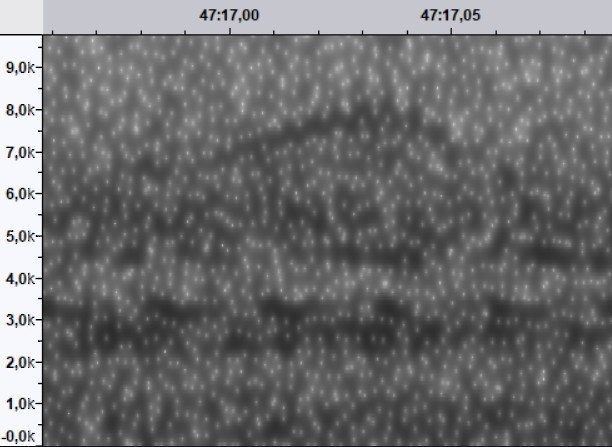 Ovenbird - ML644522483