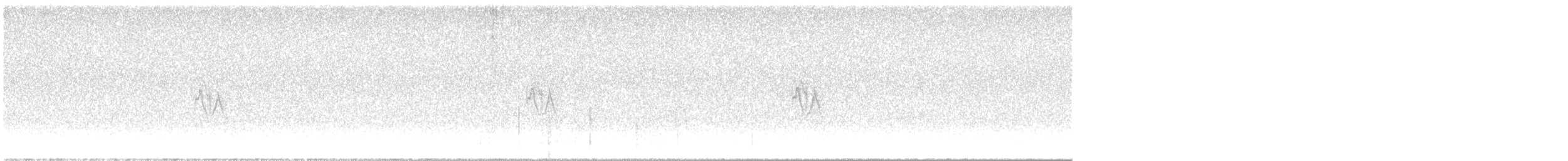 Pine Siskin (Northern) - ML644522983