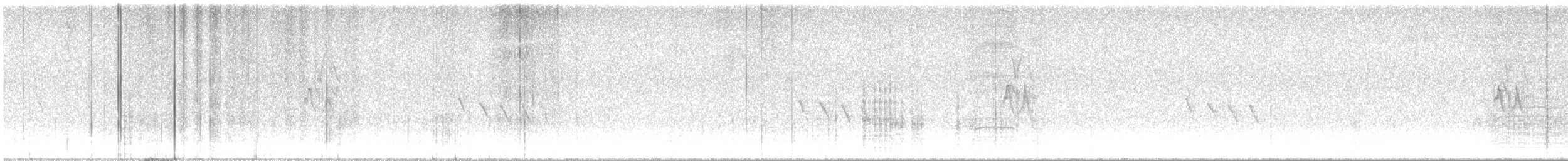 Pine Siskin (Northern) - ML644522985