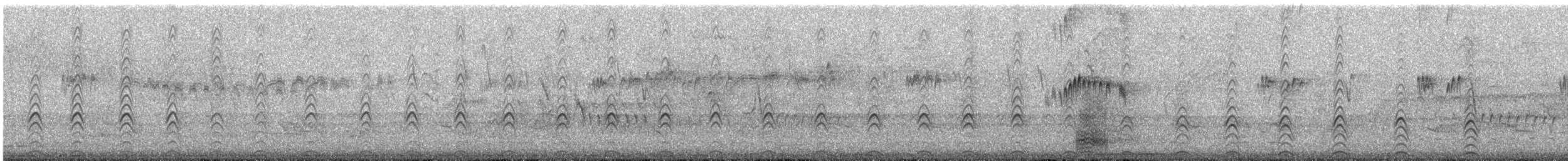 Black-necked Stilt - ML644523019