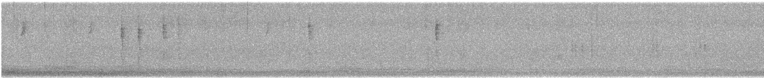 Pasifik Çıtkuşu - ML644523647