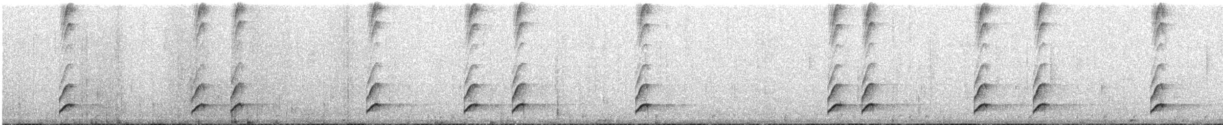 Blackish Tapaculo - ML644523833