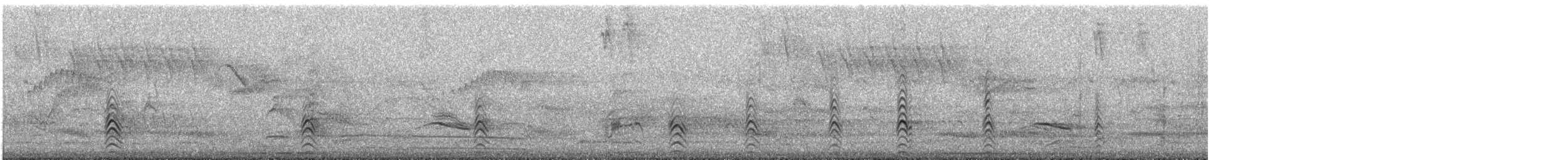 Black-necked Stilt - ML644523839