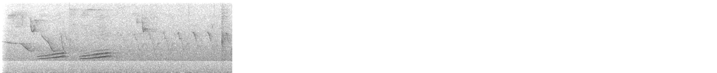 Slaty-backed Nightingale-Thrush - ML644524527