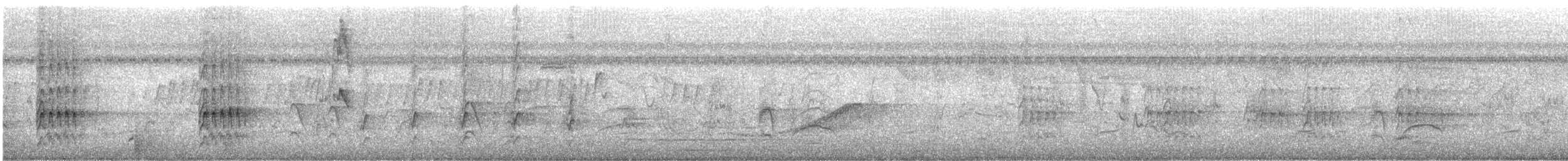 Hoffmann's Woodpecker - ML644525033