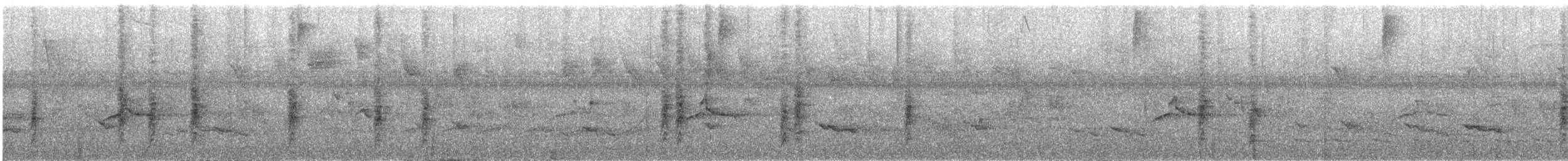 Большой сальтатор - ML644525235