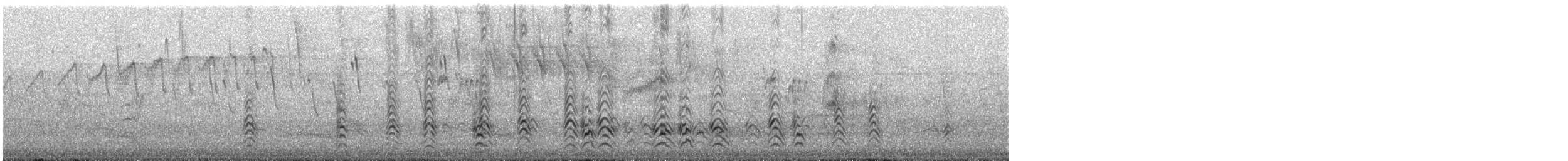 Black-necked Stilt - ML644525466