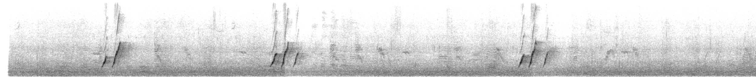 Curve-billed Thrasher - ML644526307