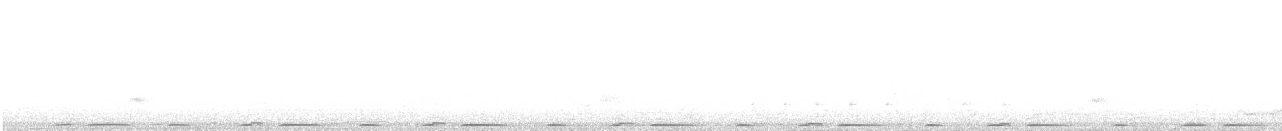 Eurasian Collared-Dove - ML644526866