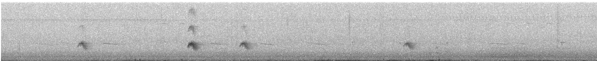 Кіпаль жовтобровий (тип 3) - ML644526917