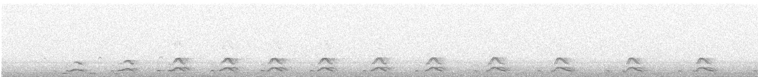 Mozolo arrunta - ML644527189