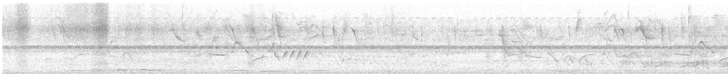 Gelbscheitelamazone - ML644527363