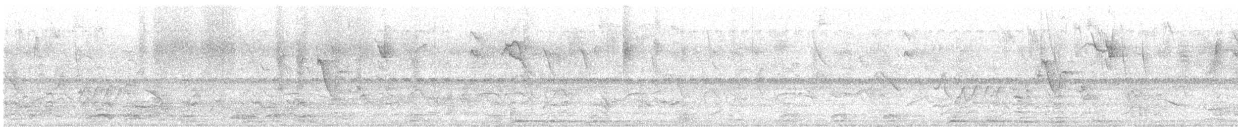 Gelbscheitelamazone - ML644527365