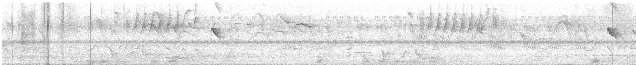 Gelbscheitelamazone - ML644527366